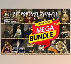 Download MEGA BUNDLE Royal Pet Portrait Templates by 2SUNS (JPG, PNG, ABR)