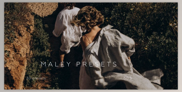 Download MALEY PRESETS