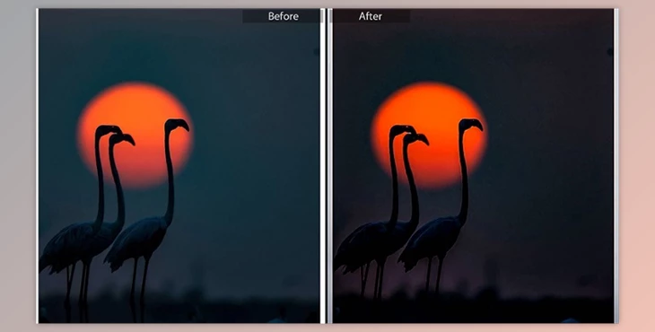 Download 15 Pro Ultra Landscape Outdoor Lightroom Presets By evolysdigital