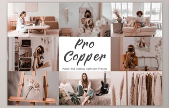 Download 10 Lightroom Presets Neo <span class='badge badge-warning'>Copper</span> By EpicoMedia (Desk, Mob)