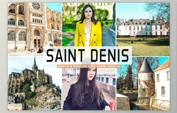 Download Saint <span class='badge badge-warning'>Denis</span> Mobile & Desktop Lightroom Presets by creativetacos