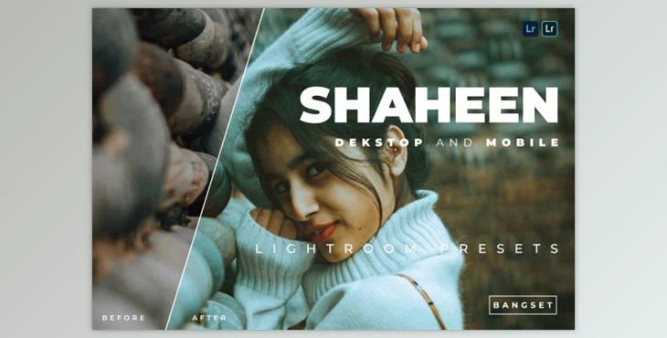 Download Shaheen Desktop and Mobile Lightroom Preset by Bangset