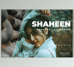 Download Shaheen Desktop and Mobile Lightroom Preset by Bangset