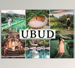 Download Ubud Mobile & Desktop Lightroom Presets by creativetacos