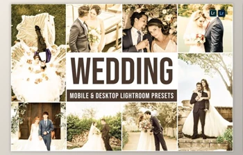 Download <span class='badge badge-warning'>Wedding</span> Mobile and Desktop Lightroom Presets by Laksmitagraphics