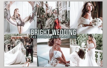 Download Wedding <span class='badge badge-warning'>Photoshop</span> Actions by 2lagus