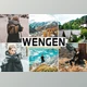 Download Wengen Mobile & Desktop Lightroom Presets by creativetacos