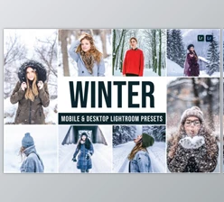 Download Winter Mobile and Desktop Lightroom Presets by Laksmitagraphics