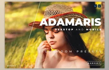 Download Adamaris Desktop and Mobile Lightroom <span class='badge badge-warning'>Preset</span> by Bangset