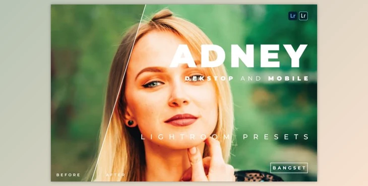Download Adney Desktop and Mobile Lightroom Preset by Bangset