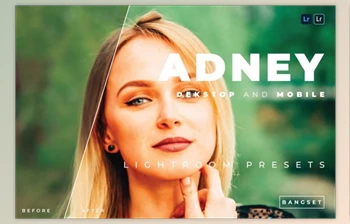 Download Adney Desktop and Mobile Lightroom <span class='badge badge-warning'>Preset</span> by Bangset