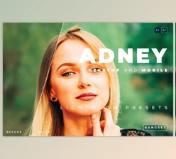 Download Adney Desktop and Mobile Lightroom Preset by Bangset