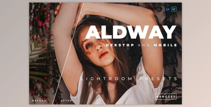 Download Aldway Desktop and Mobile Lightroom Preset by Bangset