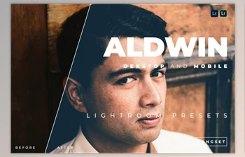 Download Aldwin Desktop and Mobile Lightroom <span class='badge badge-warning'>Preset</span> by Bangset