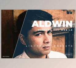 Download Aldwin Desktop and Mobile Lightroom Preset by Bangset