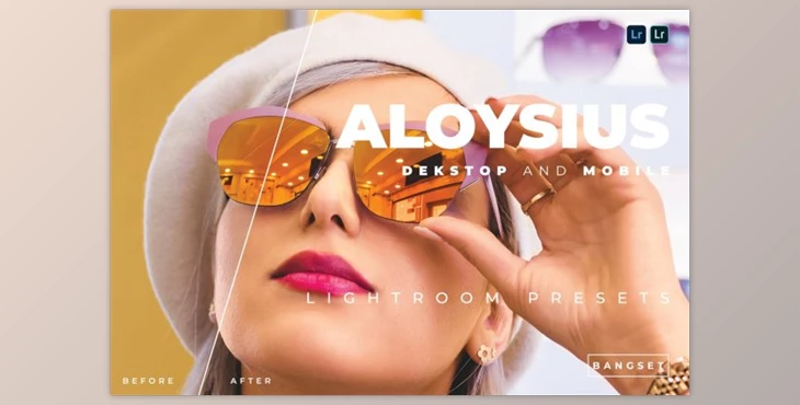 Download Aloysius Desktop and Mobile Lightroom Preset by Bangset