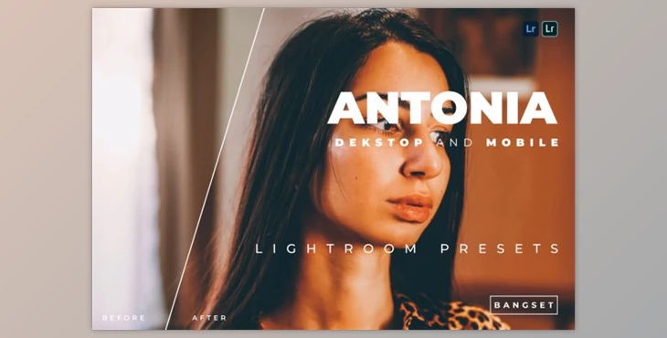Download Antonia Desktop and Mobile Lightroom Preset by Bangset