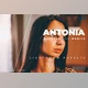 Download Antonia Desktop and Mobile Lightroom Preset by Bangset