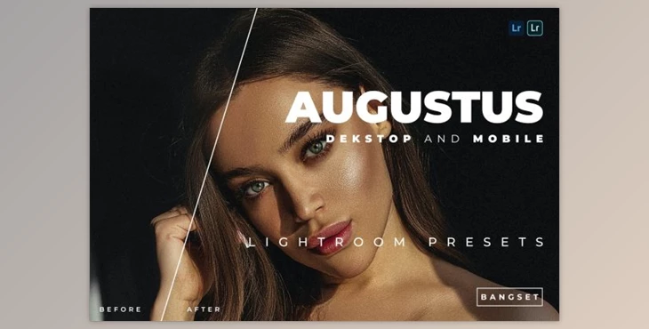 Download Augustus Desktop and Mobile Lightroom Preset by Bangset