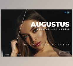 Download Augustus Desktop and Mobile Lightroom Preset by Bangset