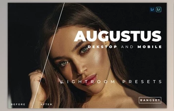 Download Augustus Desktop and Mobile Lightroom <span class='badge badge-warning'>Preset</span> by Bangset