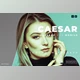 Download Caesar Desktop and Mobile Lightroom Preset by Bangset