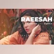 Download Raeesah Desktop and Mobile Lightroom Preset by Bangset