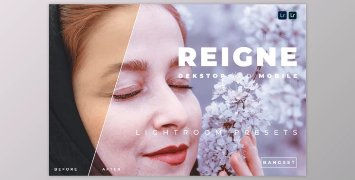 Download Reigne Desktop and Mobile Lightroom Preset by Bangset