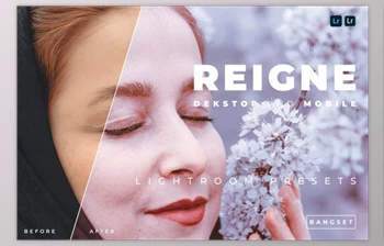 Download Reigne Desktop and Mobile Lightroom <span class='badge badge-warning'>Preset</span> by Bangset