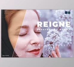 Download Reigne Desktop and Mobile Lightroom Preset by Bangset