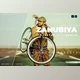 Download Zanubiya Desktop and Mobile Lightroom Preset by Bangset
