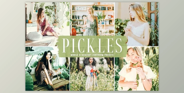 Download Pickles Mobile & Desktop Lightroom Presets by creativetacos