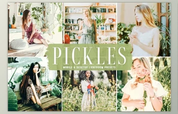 Download <span class='badge badge-warning'>Pickles</span> Mobile & Desktop Lightroom Presets by creativetacos