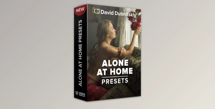 Download 18 Alone at Home Presets by David Dubnitskiy (XMP)