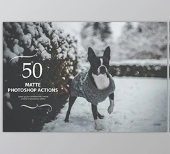 Download 50 Matte Photoshop Actions by Eldamar Studio