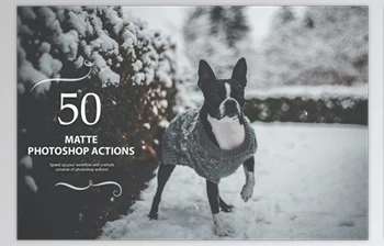 Download 50 Matte Photoshop Actions by Eldamar <span class='badge badge-warning'>Studio</span>