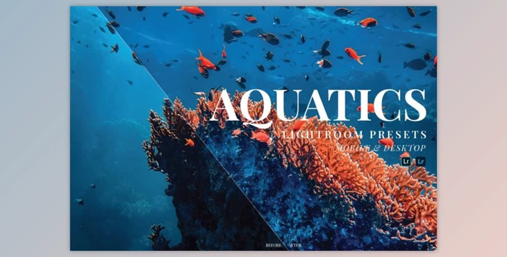 Download Aquatics Mobile and Desktop Lightroom Presets by Laksmita