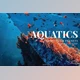 Download Aquatics Mobile and Desktop Lightroom Presets by Laksmita