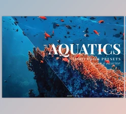Download Aquatics Mobile and Desktop Lightroom Presets by Laksmita