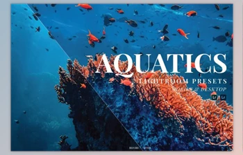 Download <span class='badge badge-warning'>Aquatics</span> Mobile and Desktop Lightroom Presets by Laksmita