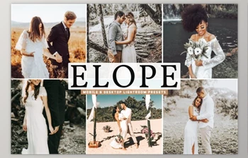 Download <span class='badge badge-warning'>Elope</span> Mobile & Desktop Lightroom Presets by creativetacos