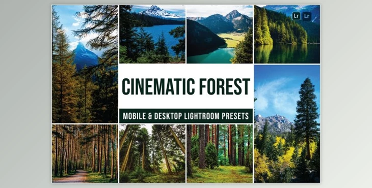 Download Forest Mobile and Desktop Lightroom Presets by Laksmitagraphics