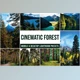 Download Forest Mobile and Desktop Lightroom Presets by Laksmitagraphics