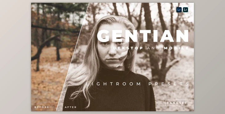 Download Gentian Desktop and Mobile Lightroom Preset by Bangset