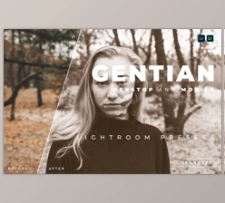 Download Gentian Desktop and Mobile Lightroom Preset by Bangset