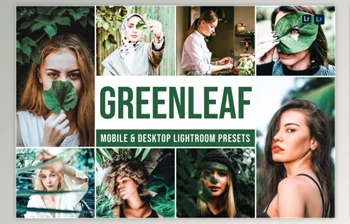 Download <span class='badge badge-warning'>Greenleaf</span> Mobile and Desktop Lightroom Presets by Laksmitagraphics