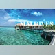 Download Maldives Mobile and Desktop Lightroom Presets by Laksmitagraphics