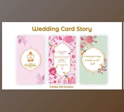 Download Wedding Card Story (Videohive 32250778) - AE Project