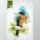 Download Modern Digital Paint Photoshop Action By denis154 (ATN, ABR, PAT, txt)