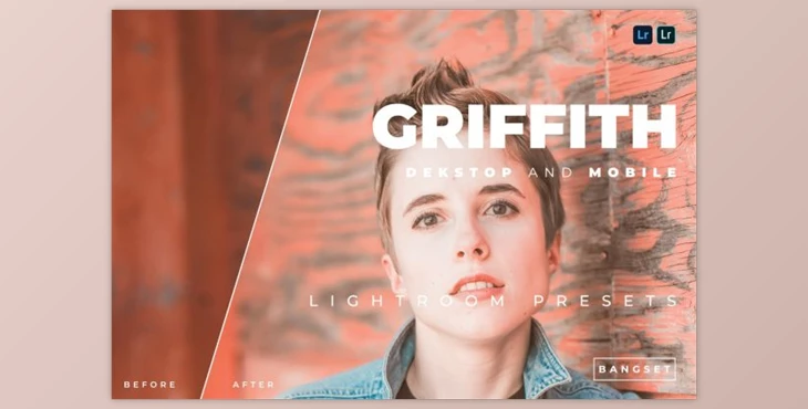 Download Griffith Desktop and Mobile Lightroom Preset by Bangset
